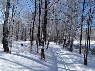 Centre de ski de fond Robert-Giguère - Québec region