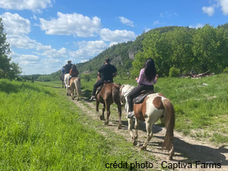 Captiva Farms Horseback Riding
