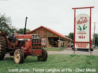 Ferme Langlois et Fils - Chez Médé- Market Gardener ÉCONOMUSÉE Neuville Sweet Corn - Québec region