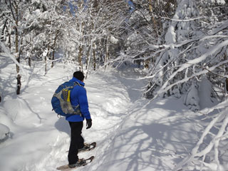 Saint-Donat snowshoeing trails