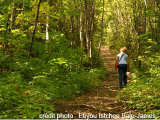 Trails near Lac Imbeau - James Bay