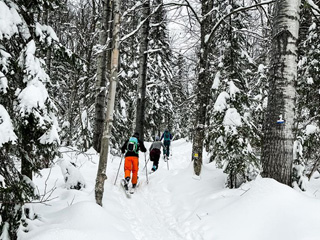 Cross-country skiing at Mont Grand-Fonds