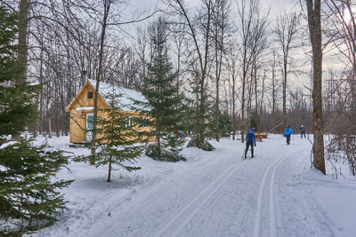 Make the most of winter on cross-country skiing trails