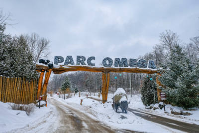 Enjoy the magic of winter at Parc Omega