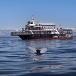 Discover the St. Lawrence with AML Cruises!