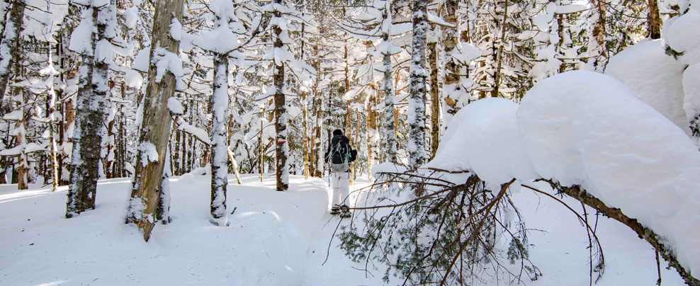 Amazing winter fun in Quebec’s great outdoors