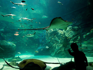 Aquarium de Montréal