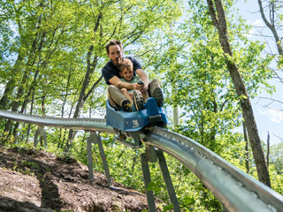 Camp Fortune Sled, Aerial Park and Ziplines