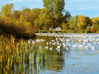 Centre d'interprétation de la nature de l'étang Burbank - Eastern Townships