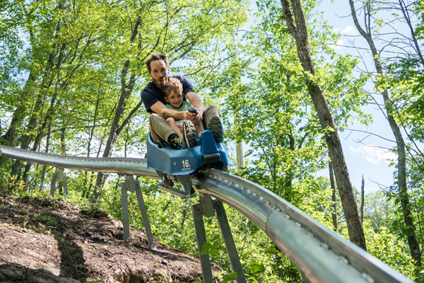 Camp Fortune Sled, Aerial Park and Ziplines