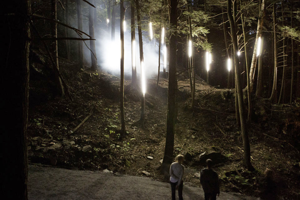 de Foresta de la Gorge Lumina Coaticook Parc -