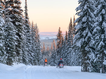 Snowmobilers in a winter landscape in Quebec