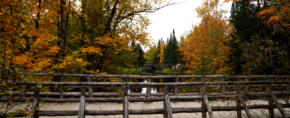 What to do on a fall road trip to Quebec