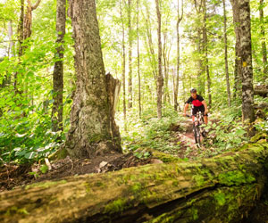 Explore Quebec's various mountain biking trails