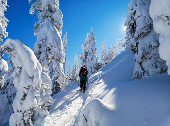 Skier exploring the backcountry