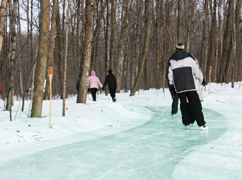 Skaters on the ice trail at the Bois-de-Belle-Rivière Park
