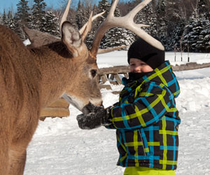 Start by getting an up-close-and-personal look at Quebec’s wildlife