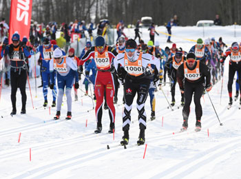 Cross-country skiers at the start of a race