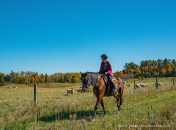 Horse-back rider and her horse admiring the landscape at Le Baluchon Éco-villégiature.