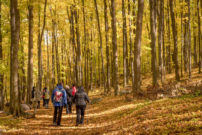 Enjoy fall colours with outdoor fun and flavours in Vaudreuil-Soulanges