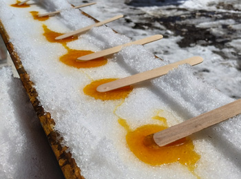 Close-up of a line of maple taffy sticks on the snow.
