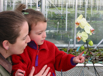 A mother and daughter looking at an orchid.