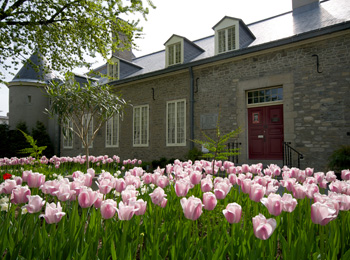 Exterior of a stone-walled museum, surrounded by a tulip-covered ground.