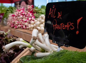 Close-up of a market stall, with a sign reading 'Spring garlic' in French.