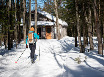 Cross-country skier on a snow-covered trail