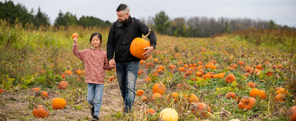 Pick your own pumpkins in the Vaudreuil-Soulanges region