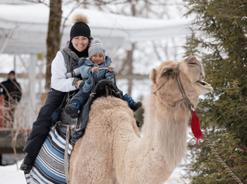 Camel ride at the Zoo au Granby