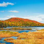 From regional flavours to wide-open spaces: experience the best of fall in Lanaudière