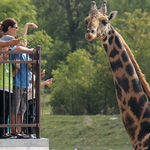 Animals, a water park and a Discovery Pavilion at Parc Safari!