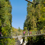 A First for a Natural Park in Canada: Soar Above the Gorge!