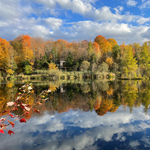 Trips and activities: 8 ideas to make fall last longer