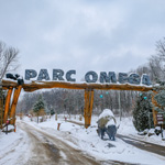 Enjoy the magic of winter at Parc Omega