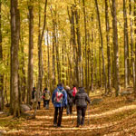Enjoy fall colours with outdoor fun and flavours in Vaudreuil-Soulanges